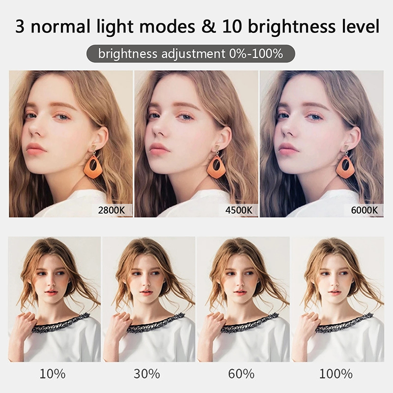 10 inch LED Selfie Ring Light  - Photography Lighting Stick ulasan dan harga